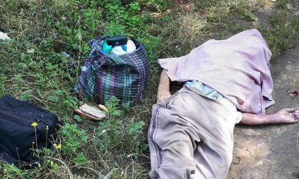 ЧП в Днепре: мужчина умер от укусов насекомых
