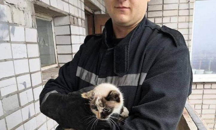 На Днепропетровщине сотрудники ГСЧС снимали кота с 13-го этажа 