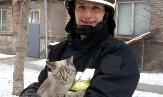 В Днепре сотрудники ГСЧС спасли кота
