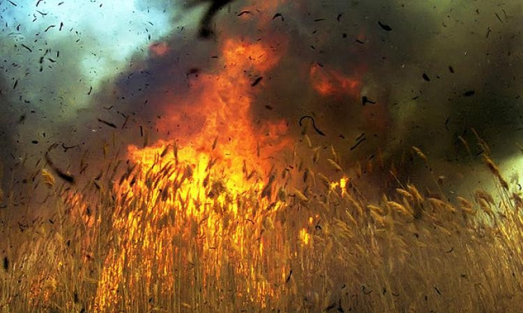 Пожар на Днепропетровщине: сотрудники ГСЧС тушили поле 