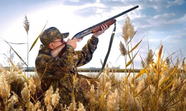 Сезон охоты на Днепропетровщине: где запретили охотиться