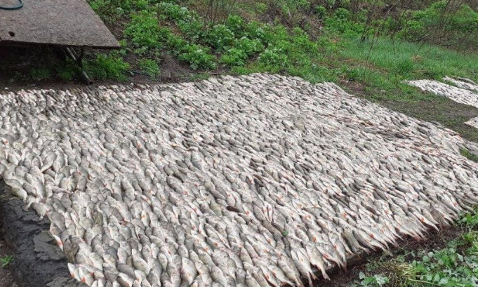В Днепре рыбалка обошлась мужчине в 85 тысяч гривен