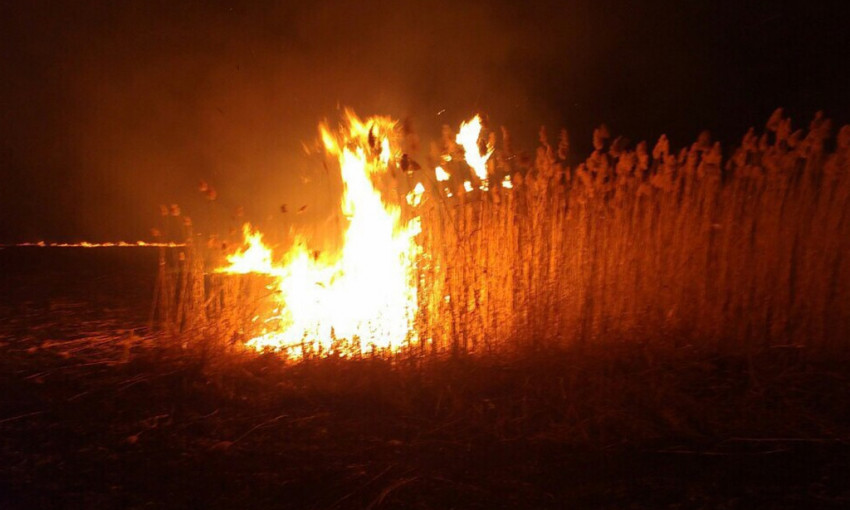 На Днепропетровщине сгорело более 6 гектаров травы и камыша