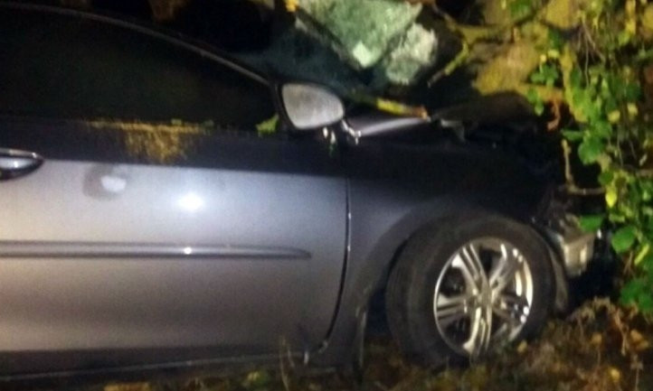 ДТП на Днепропетровщине: Toyota врезалась в дерево