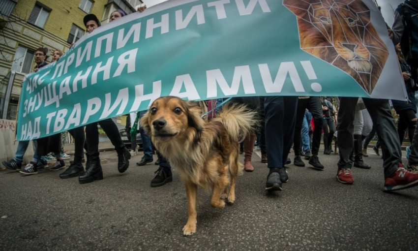 В Днепре пройдет всеукраинский марш за права животных