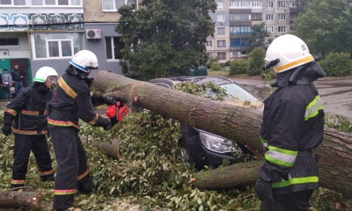 Древопад на Днепропетровщине: аварийный тополь рухнул на автомобиль