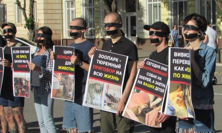 На Днепропетровщине зоозащитники протестовали против издевательства над животными