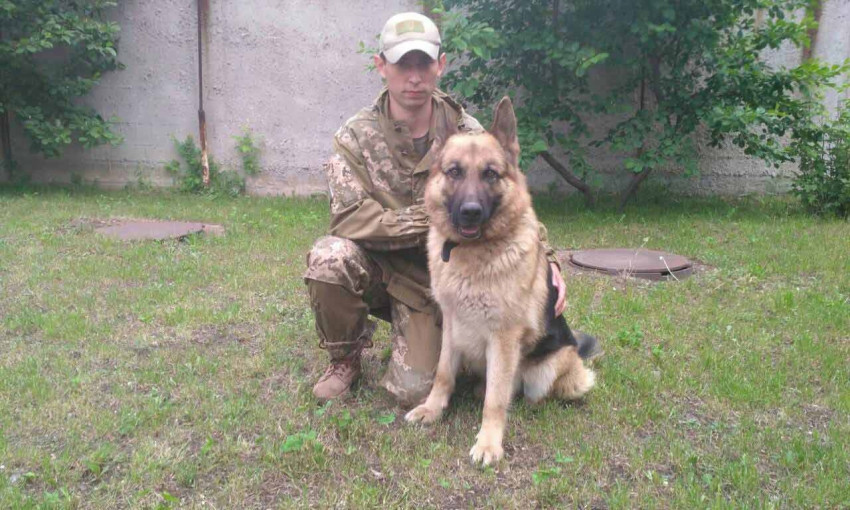 На Днепропетровщине служебный пес нашел в овраге пропавшую пенсионерку