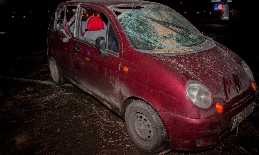 ДТП в Днепре: женщина за рулем врезалась в дерево 