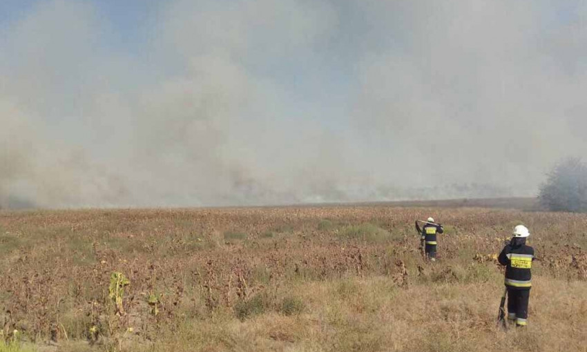 Пожар на Днепропетровщине: сотрудники ГСЧС тушили сухую траву 