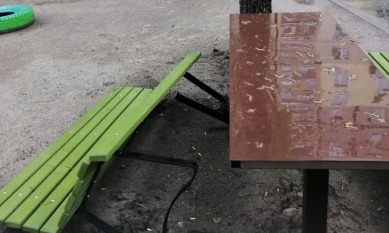 В Днепре вандалы вырвали "с корнем" скамейку