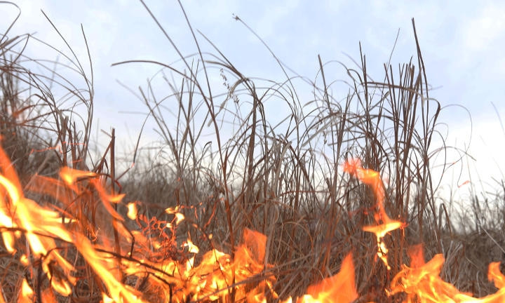 Пожар на Днепропетровщине: мужчина пострадал при попытке потушить траву