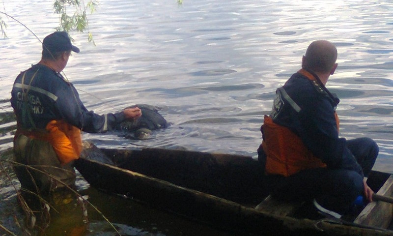 На Днепропетровщине утонул мужчина 