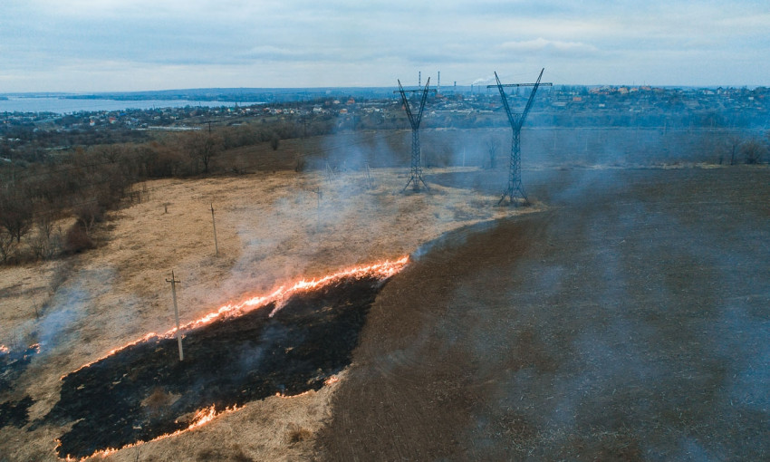 Пожар в Днепре: сотрудники ГСЧС тушили лесополосу 