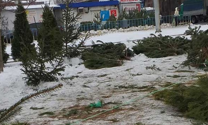 Грязный Днепр: новогодние елки превратились в мусор 