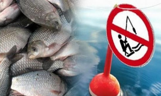 На Днепропетровщине запретили весеннюю рыбалку 