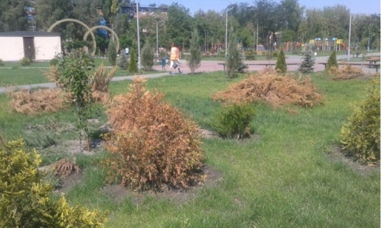 На Днепропетровщине гибнет парк любви