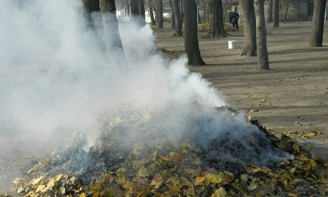 В Днепре усилили меры по борьбе с поджигателями листьев