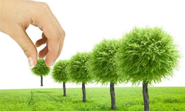 Міжнародна група компаній Бунге долучилася до озеленення міста Дніпра