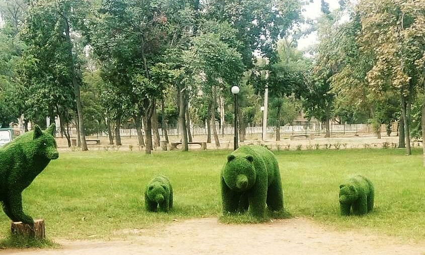 На Днепропетровщине обосновалось зеленое медвежье семейство