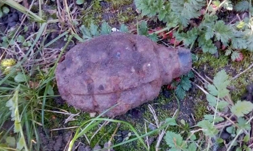 Житель Днепропетровщины выкопал гранату на огороде 