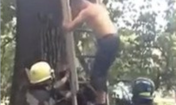 Полез за котом: на Днепропетровщине спасатели снимали мужчину с дерева