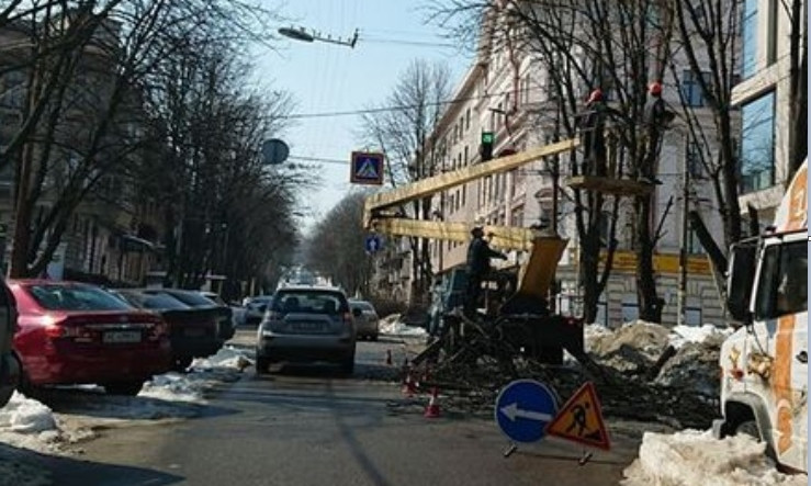 В Днепре на улице Короленко провели обрезку деревьев