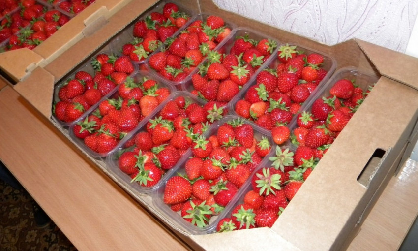 Дети из детдома Днепра получили бесплатные ягоды