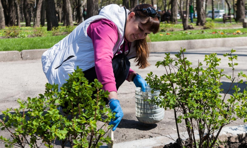 Чистые "Сосенки": в Днепре убрали парк Писаржевского