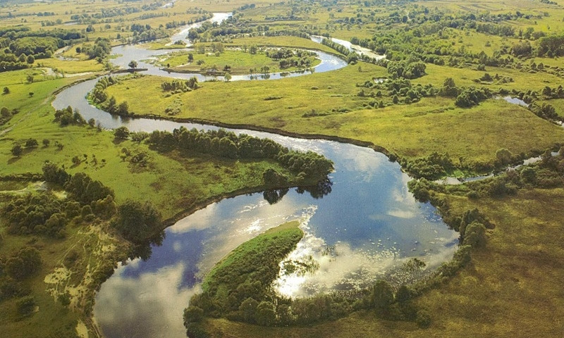 Почему на Днепропетровщине высыхают реки?