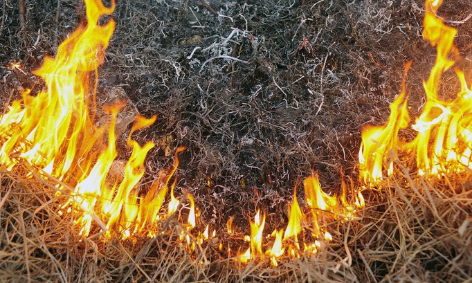 Пожар на Днепропетровщине: сотрудники ГСЧС тушили 4 гектара травы