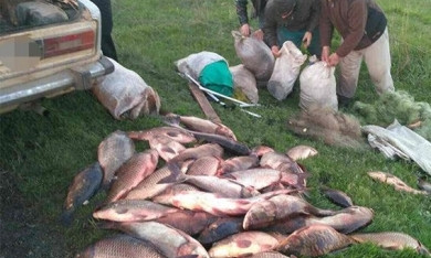 В Днепре браконьеры ловили рыбу во время нереста 