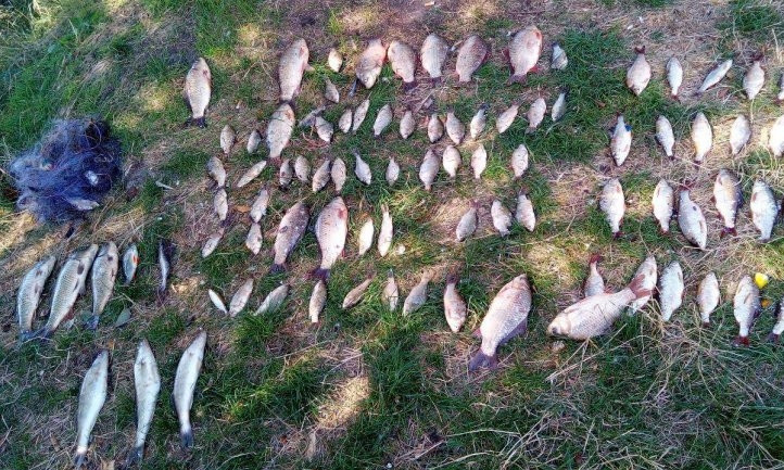 На Днепропетровщине браконьер выловил 13 килограммов рыбы 