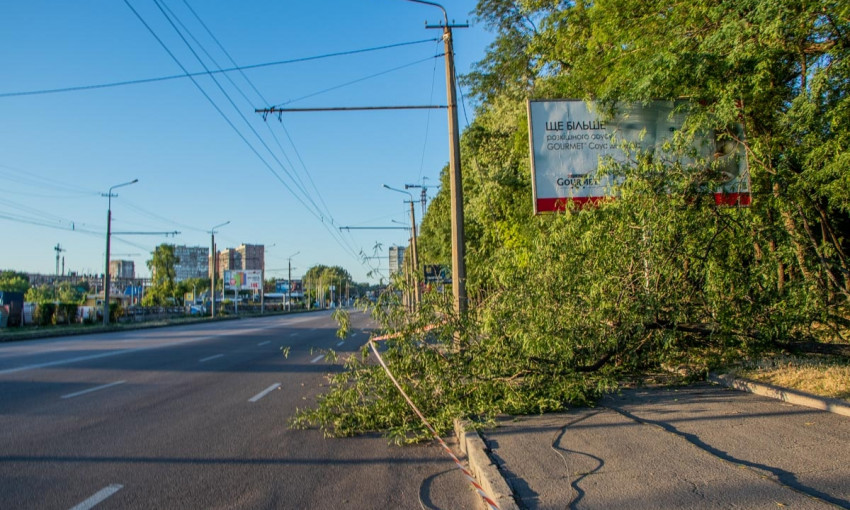 Древопад в Днепре: на Запорожском шоссе упавшая ветка оборвала провода