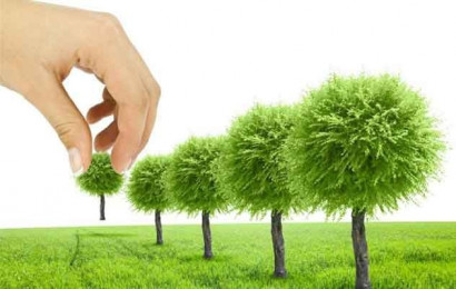 Міжнародна група компаній Бунге долучилася до озеленення міста Дніпра